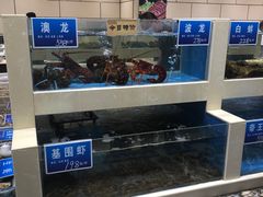 水产区-双井轩(双井店)