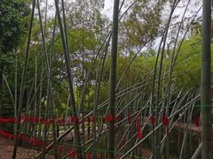 -东坡赤壁风景名胜区