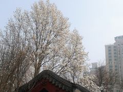 -大钟寺古钟博物馆