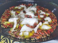 沸腾水煮鱼-金三可市井水煮鱼(金碧园店)