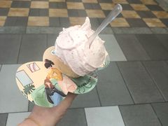 -野人先生现做冰淇淋(西安赛格店)