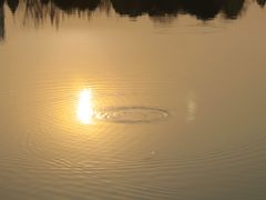 -白鹭湾湿地公园