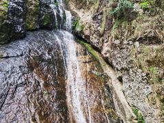 -东天目山风景区