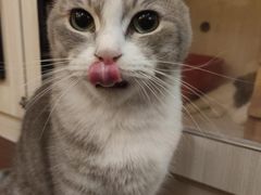 -猫儿山۰猫主题餐厅