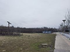 -群力丁香公园
