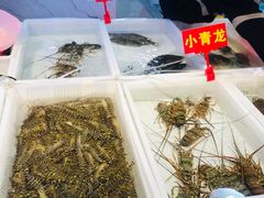 -新农都水产市场