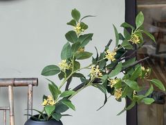 -瑜上·山食小馆