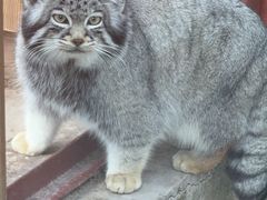 -青藏高原野生动物园