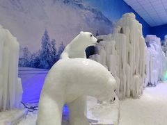 -宁波冰雪大世界(北仑区)