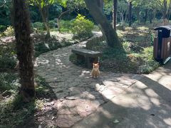 -南山风景名胜区