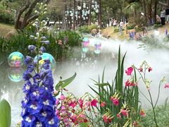 -人民公园(罗湖区)