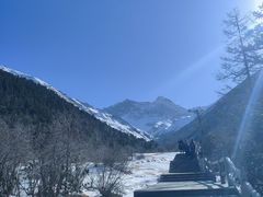 -黄龙山原始森林景区