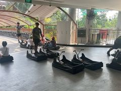 -圣淘沙天际线斜坡滑车