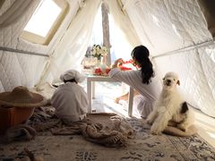 -安德鲁户外烧烤帐篷营地(马泉营店)