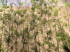 -鲜芋仙(高新益田假日里店)