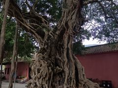 -闽粤南澳总镇府