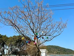 -苏州太湖西山岛开心农场