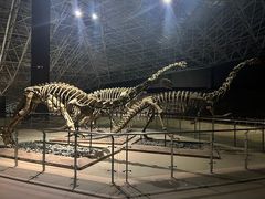 -世界恐龙谷景区