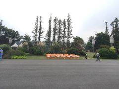 -上海长兴岛郊野公园