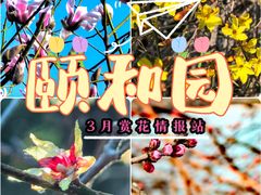 -颐和园