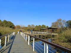 -同里国家湿地公园