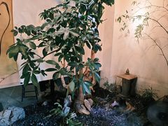 -成川茶店·潮汕工夫浓茶(万象店)