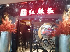 -红辣椒·川菜·火锅(张杨路店)