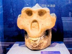 -国家自然博物馆