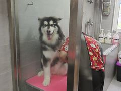 -宠福鑫康馨动物医院·骨科·眼科