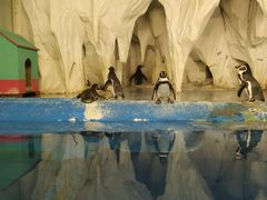 -太平洋海底世界