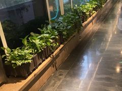 -一澜江宴·江景地标楚菜(江滩公园店)
