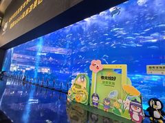 -成都浩海立方海洋公园