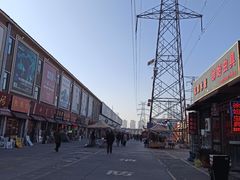 -中环花鸟鱼虫市场