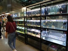 -宠物世家(仲盛世界商城店)