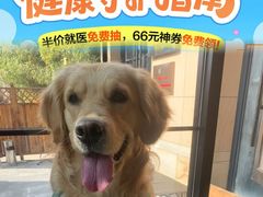 -美联众合动物医院·24h转诊中心