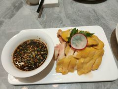 -老绍兴养和饭店(向阳不夜城店)