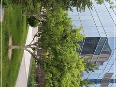 -W Fitness 威尔仕健身(北京英皇集团中心店)
