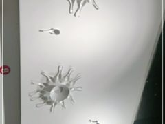 -杨翔豆皮涮牛肚(华阳城店)