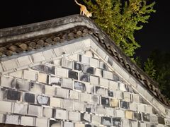 -古大圣慈寺