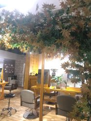 -明洞造型精品烫染