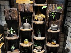 -慢丽江·云南野生菌土鸡锅(付家庄店)