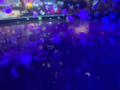 -华夏文旅西安度假区