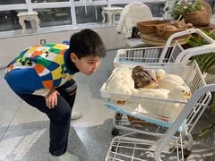 -共舞时光猫咖·狗咖(新街口店)