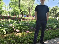 -洛阳市隋唐城遗址植物园