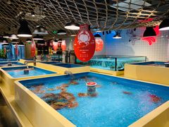 -日进一片海.生腌海鲜火锅.宵夜烧烤(三里屯总店)