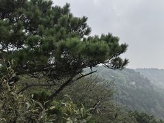 -虞山风景区