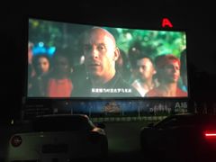 -枫花园汽车电影院(朝阳公园店)