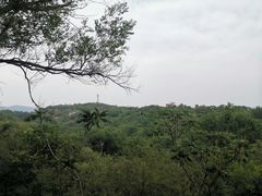 -白水寺森林公园