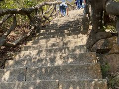 -梧桐山风景名胜区