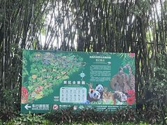 -海南热带野生动植物园